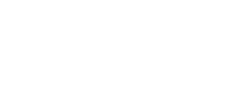 Adler Güvenlik ve Savunma Sistemleri